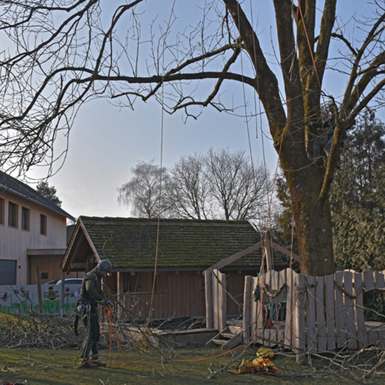 06 Holzarbeiten Kindergarten.jpg